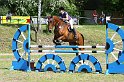 204M5441_Stardusr Harry_Spring_L
